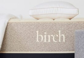 Birch Organic Latex